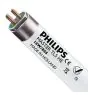 Philips MASTER TL5 HE 14W - 865 Daglicht | 55cm